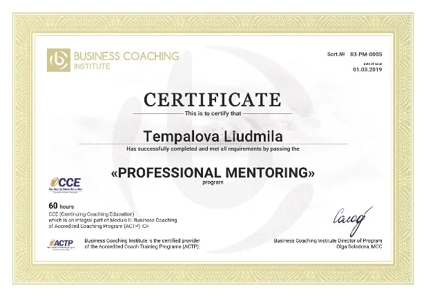 Professional Mentoring